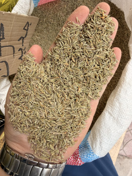 cumin