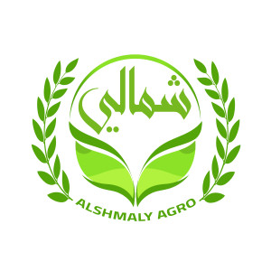 HASAN ALMOHAMAD EST