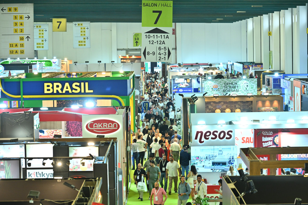 Videolar